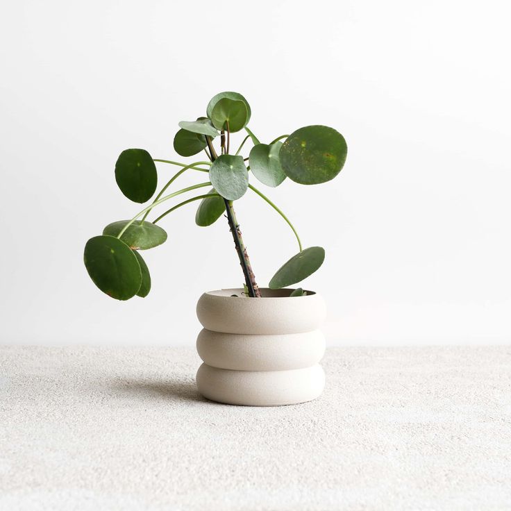 Chisel Planter Premium Planter Collection | Indoor & Outdoor Planters by Chisel House