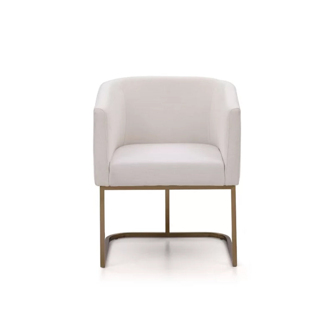 Echo Upholstered Arm Chair