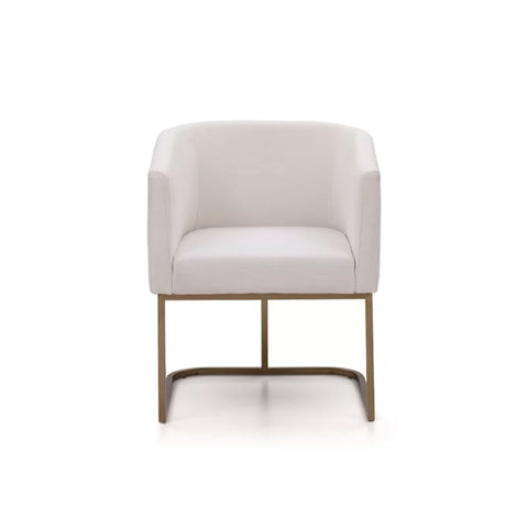 Echo Upholstered Arm Chair