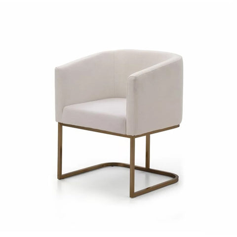 Echo Upholstered Arm Chair