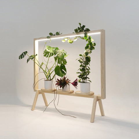 Wood Sunlight Planter