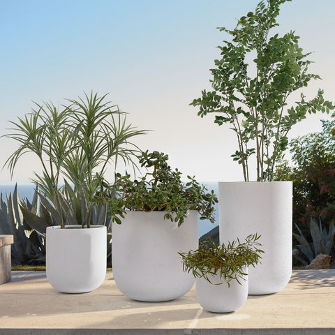 Radiant Ceramic Planters